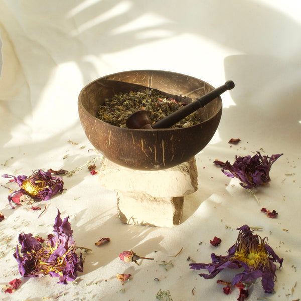 Herbal Healing for Social Anxiety