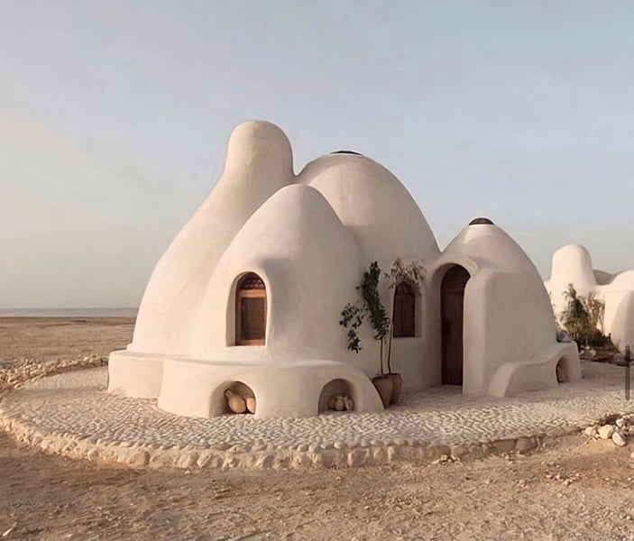 Earthship Biotecture: The Sustainable Homes of the Future